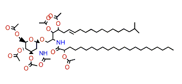 Amphicerebroside B heptaacetate